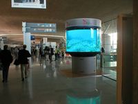 DynaScan 360° Display